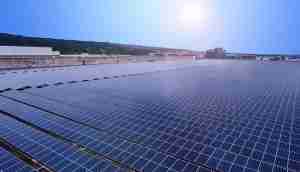 中美硅晶与z6尊龙光电携手战略合作